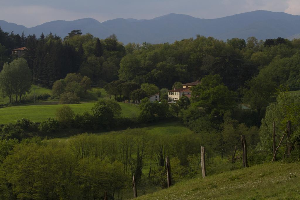 Agriturismo La Topaia Borgo San Lorenzo Exterior photo